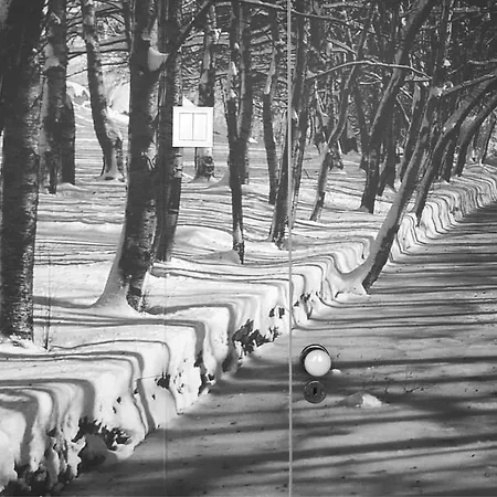 Casa Com Historia Bed & Breakfast 3*