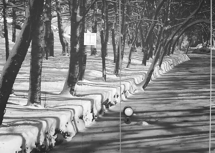 Casa Com Historia ベッド・アンド・ブレックファスト 3*